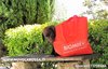 Cuccioli Nuvola Rossa